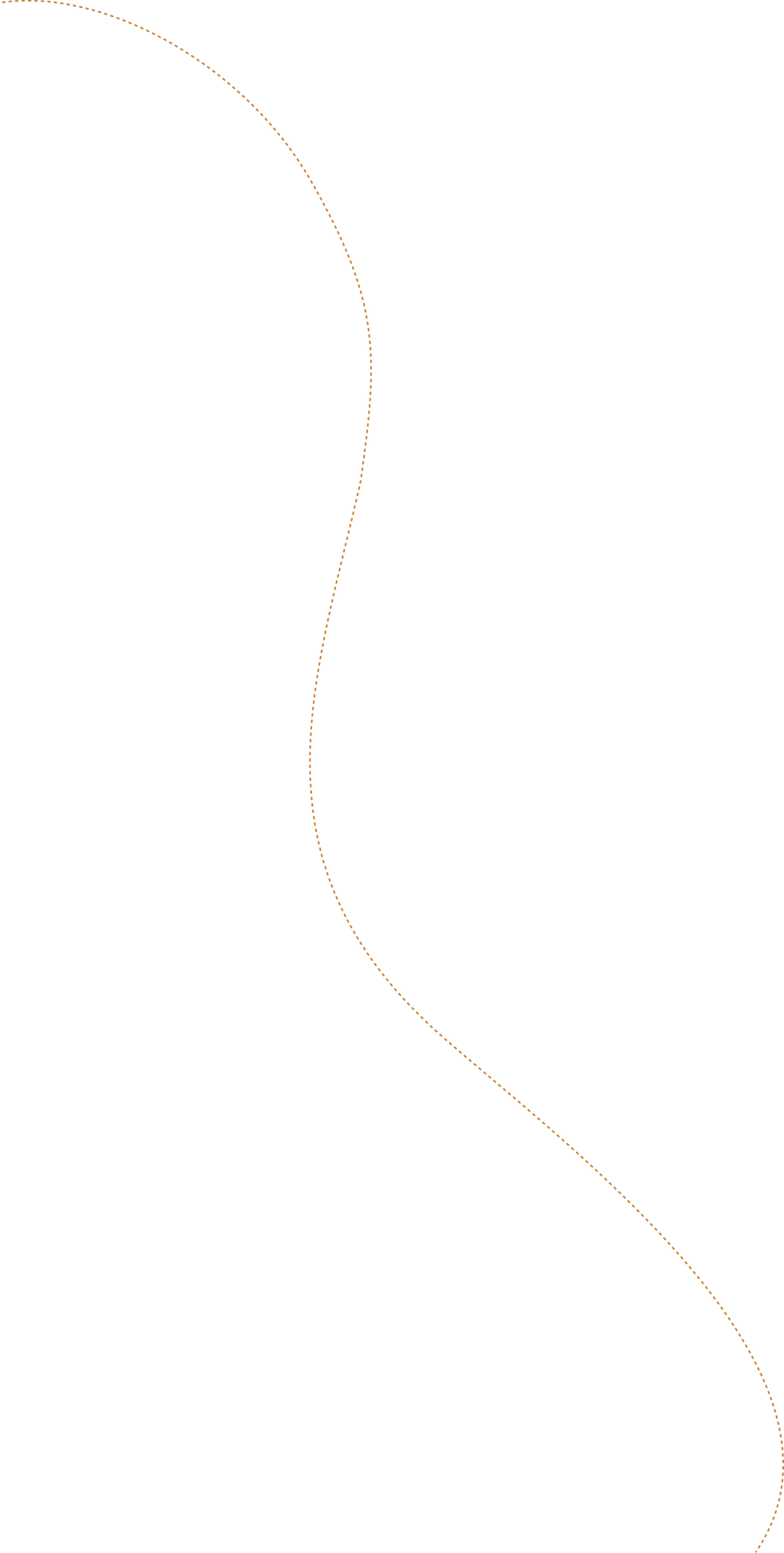 Vector-30.png