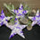 Thumbnail: Purple and White Fluid Art Star Ornaments