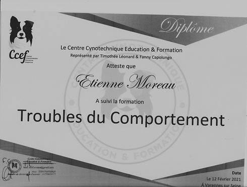 Etienne%20MOREAU%202%20001_edited.jpg