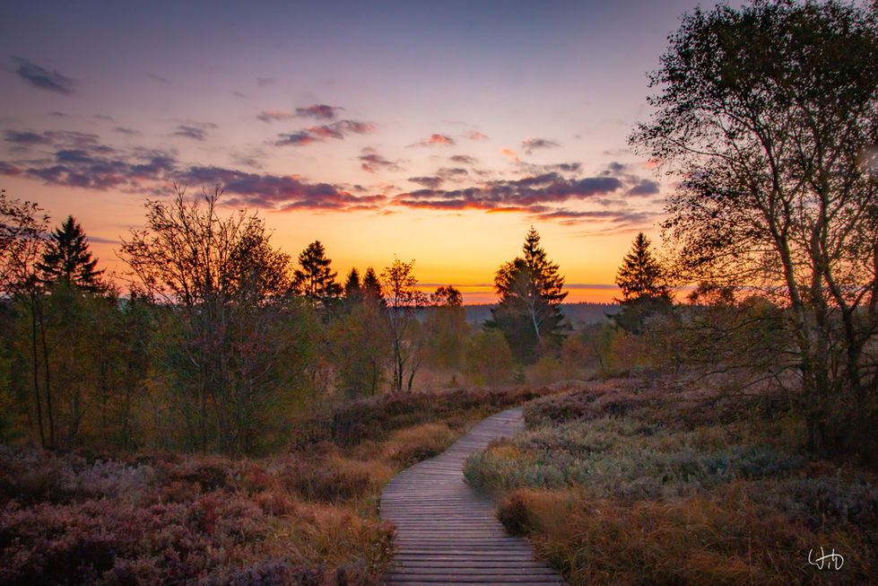 Weg durch das Hohe Venn kurz vor Sonnenaufgang