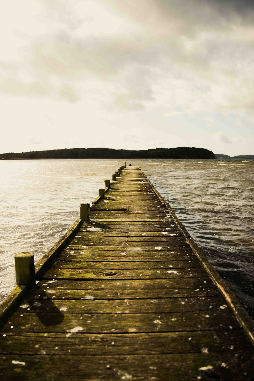 Alter Steg am Bodden