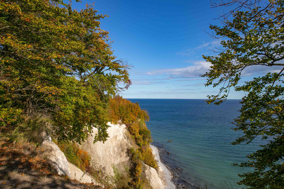 Kreidefelsen Rügen