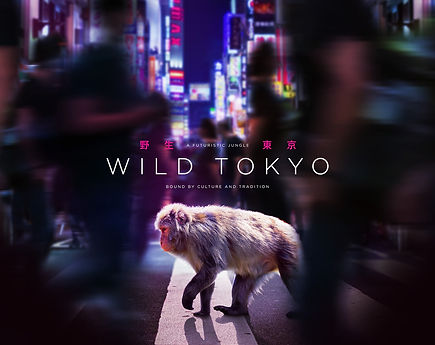 WILD+TOKYO+TT.jpeg