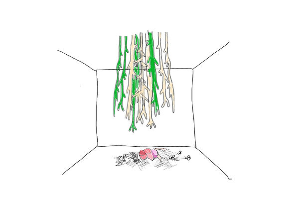 final proposal image .jpg