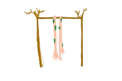 hanger arms.png