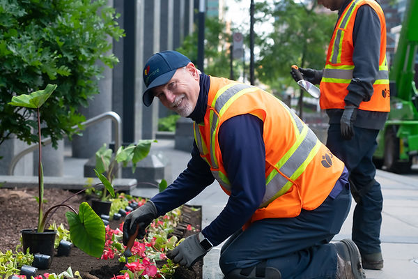 FS Commercial Maintenance Image 9.jpeg