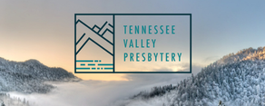 Support TVP's Church Planting Network