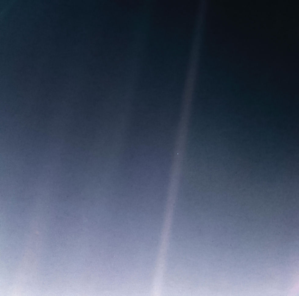 Focus Group: Pale Blue Dot Activity