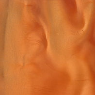 P1330_CORAL_A.jpg