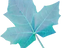 IMGBIN_leaf-sky-blue-png_QskMJReB_edited