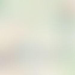 WWW-Tour 4. Etappe: Schleusen gesperrt