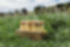 haymeadow with wooden block.jpg
