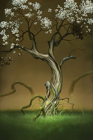 Available EDITIONS 2 | Tim Cantor Galleries