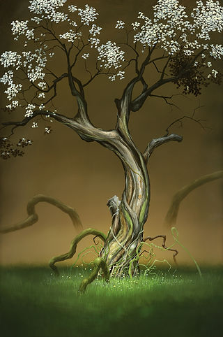 期間限定特価! ★ティム カンター/Tim cantor /in bloom Available EDITIONS 2 | Tim Cantor Galleries