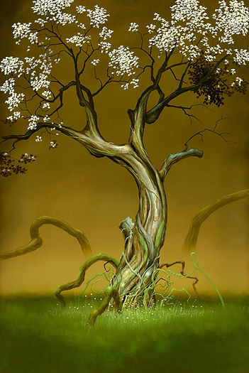 26-Primavera.jpg