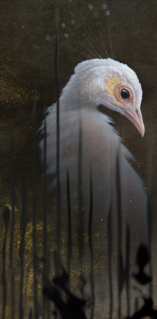 Tim Cantor | Tim Cantor Paintings & Writings