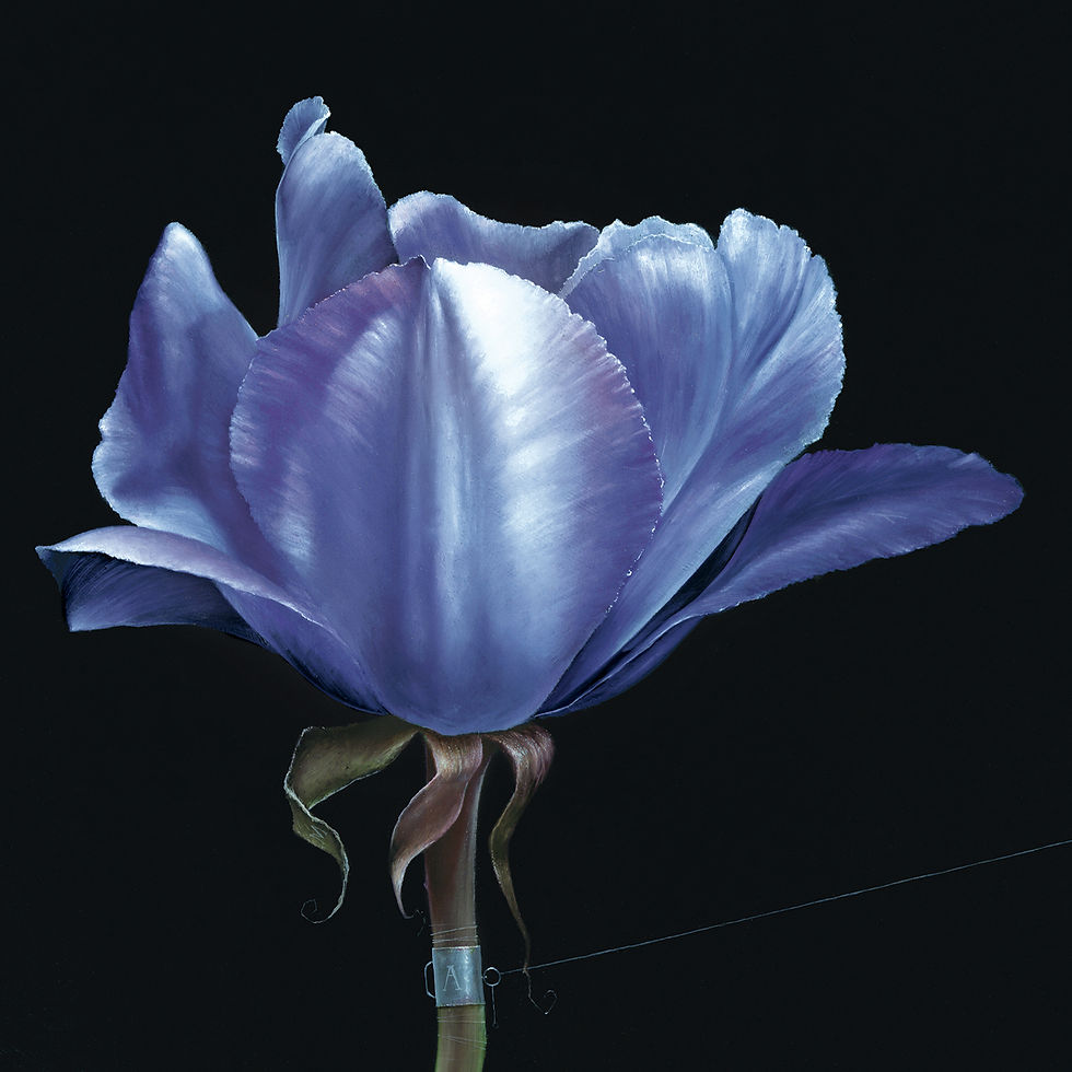 Thumbnail: "Gossamer" - Mixed-Media Limited Edition on Canvas