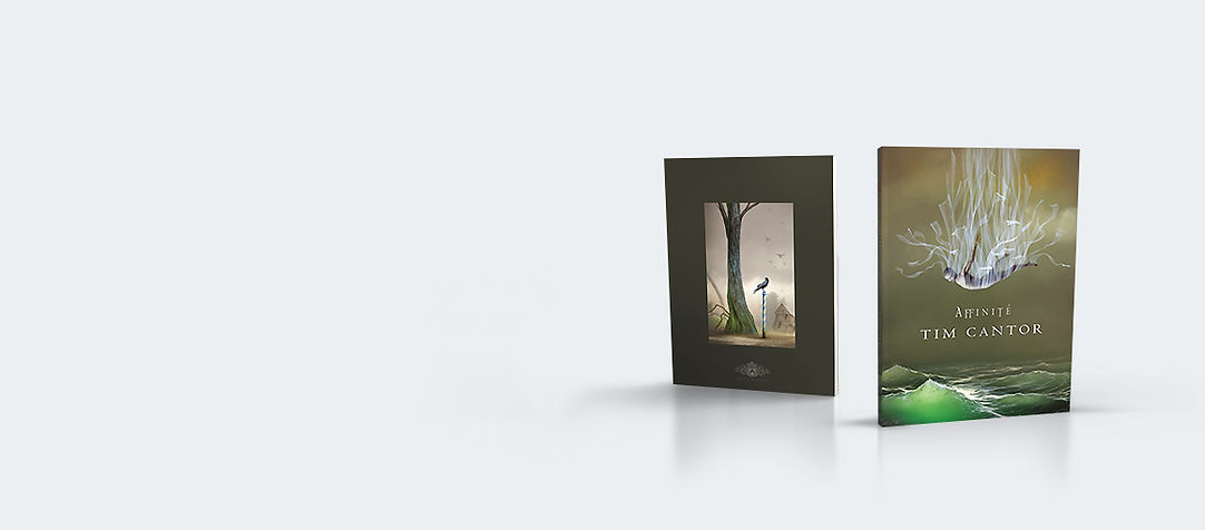 Tim Cantor Affinité Exhibition Catalogue available