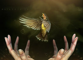 Expositions | Tim Cantor Paintings & Writings