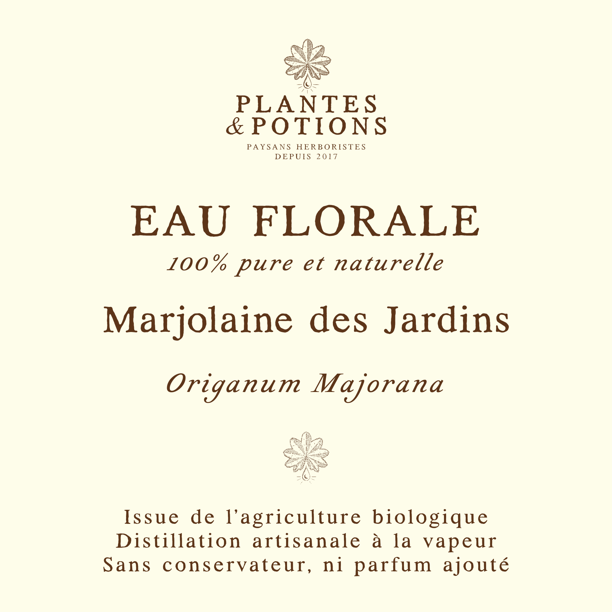 Eau de Marjolaine | Origanum Majorana