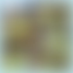 13 декабря 2022 год. "Мастерская "ЮНЫЕ ВОЛШЕБНИКИ""