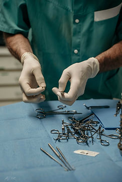 photo de professionnel (vétérinaire)