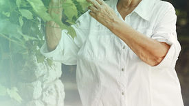 Senhora idosa sorridente usando um chapéu branco e tocando em folhas verdes brilhantes, representando a vitalidade, a autonomia e o envelhecimento saudável.