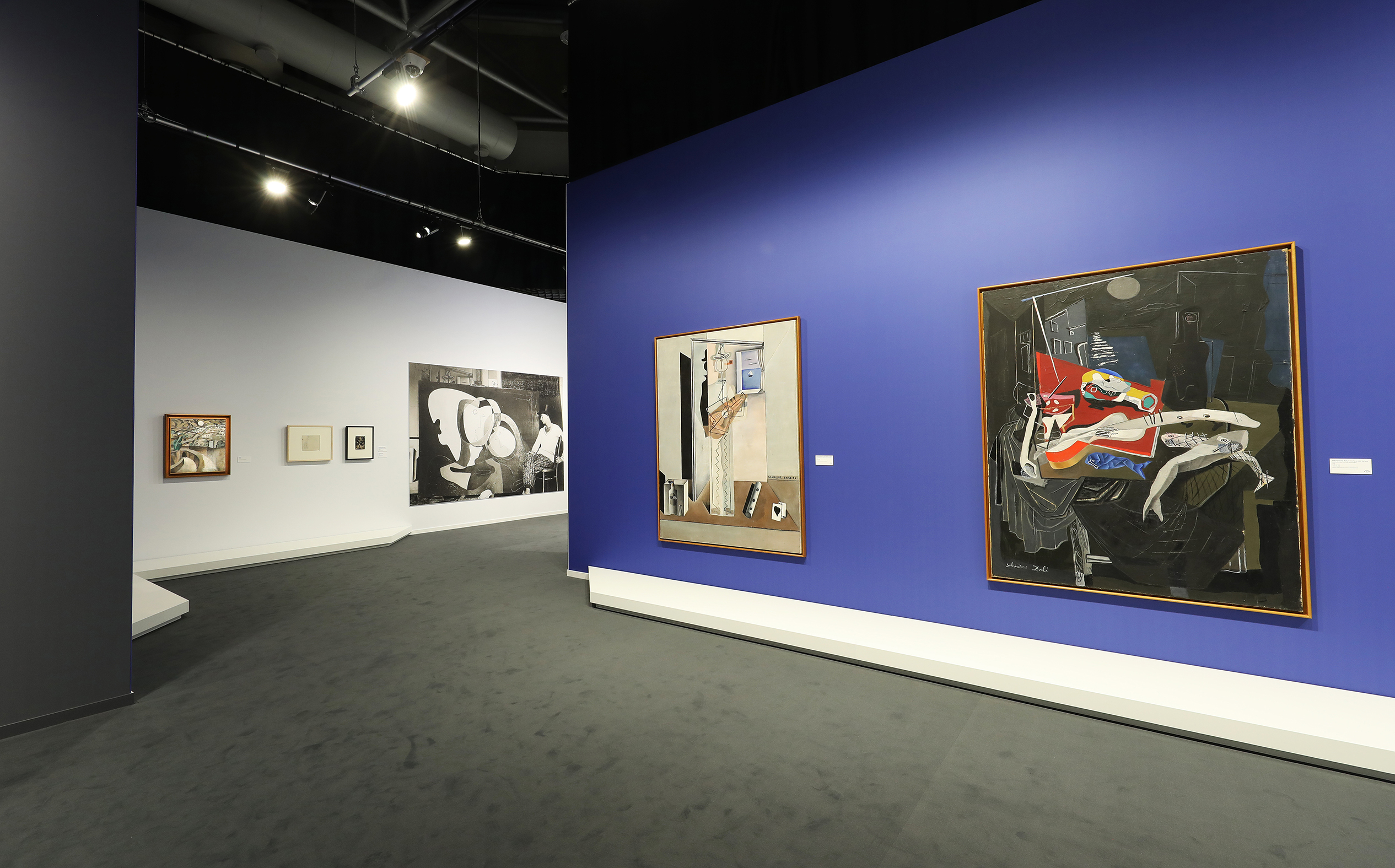 EXPO DALI GRIMALDI FORUM