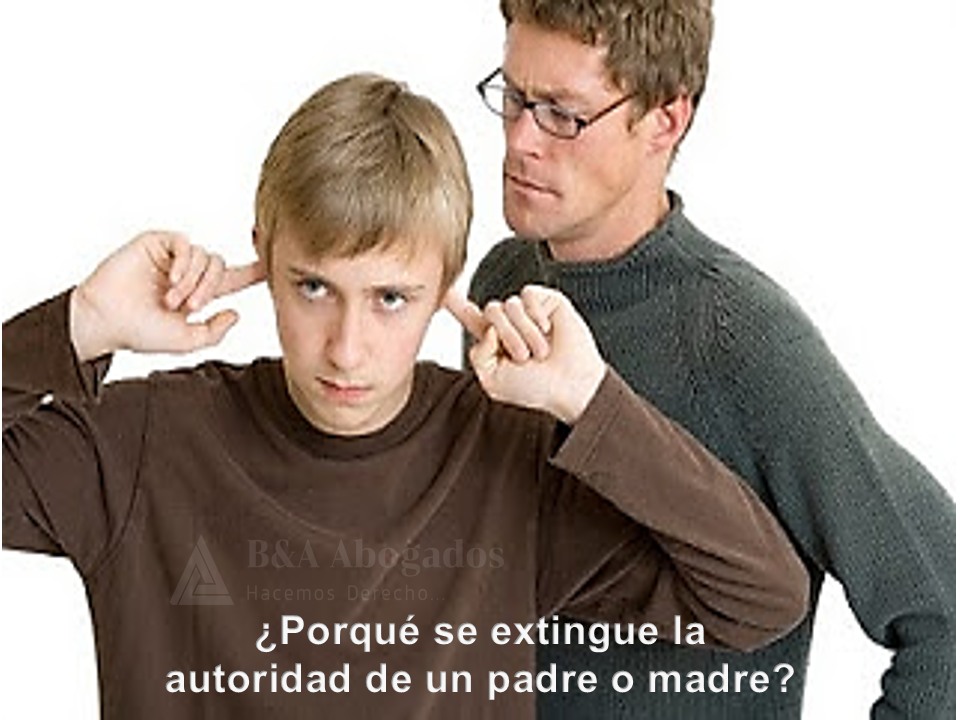 Imagen de la publicación