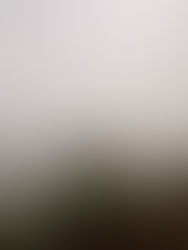 MISTY