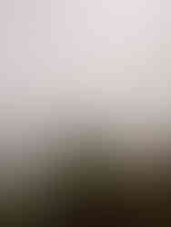 MISTY