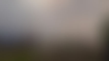 Watch the sun rise above the misty hills of Mandalpatti, one of Coorg's most breathtaking viewpoints. The early morning jeep ride and panoramic views make the journey as memorable as the destination itself.