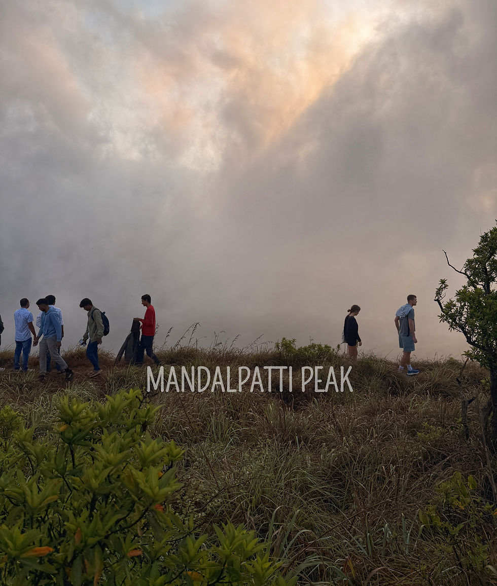 Watch the sun rise above the misty hills of Mandalpatti, one of Coorg's most breathtaking viewpoints. The early morning jeep ride and panoramic views make the journey as memorable as the destination itself.