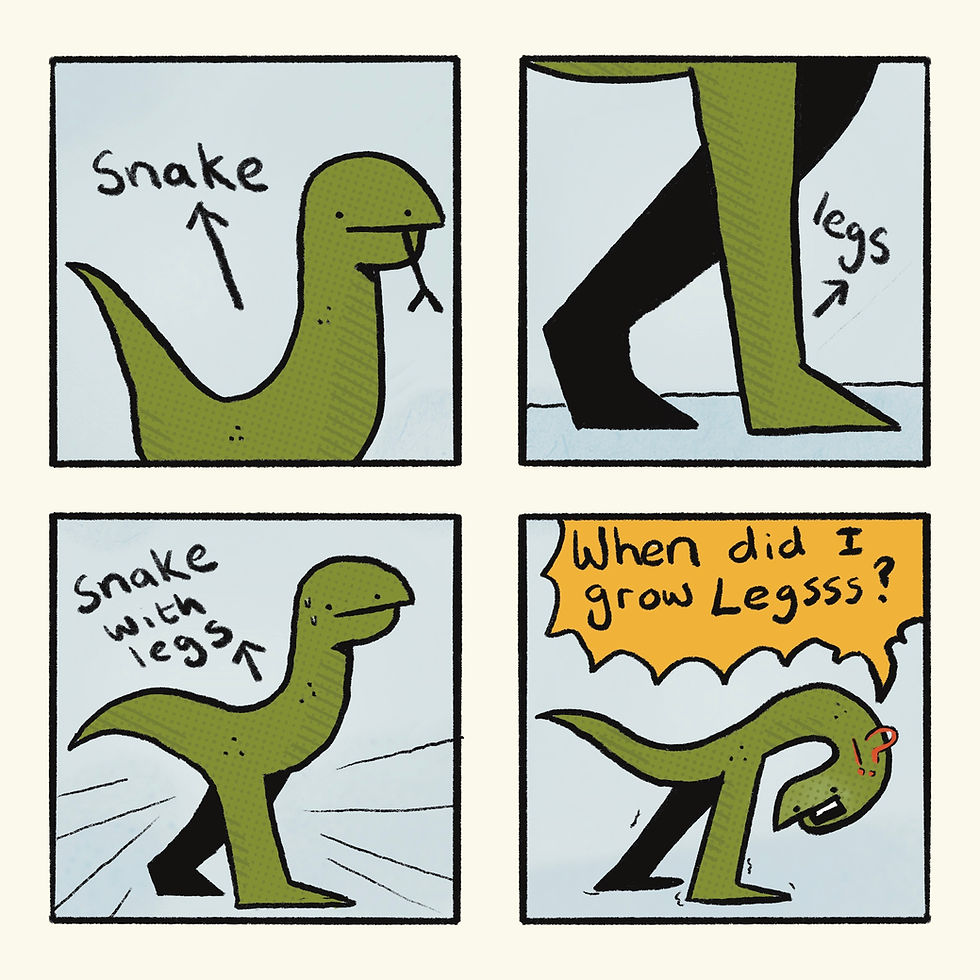 A snake that has found legs. Can you believe that some snakes now have legs