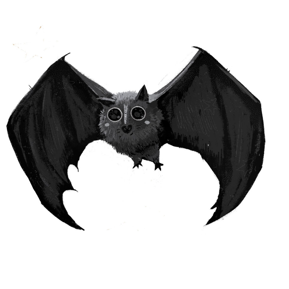 Bat study