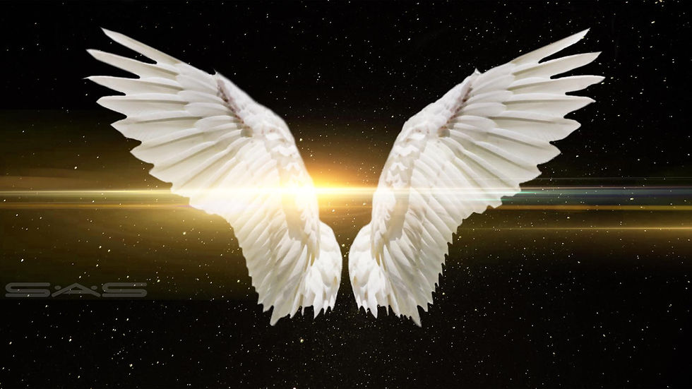 sas casting strip background copy.jpg