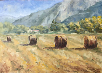 covoni - olio su tela - cm. 50x70.JPG