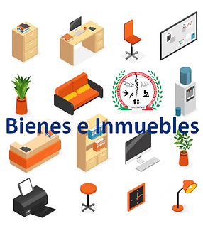 bienes e inmuebles.png