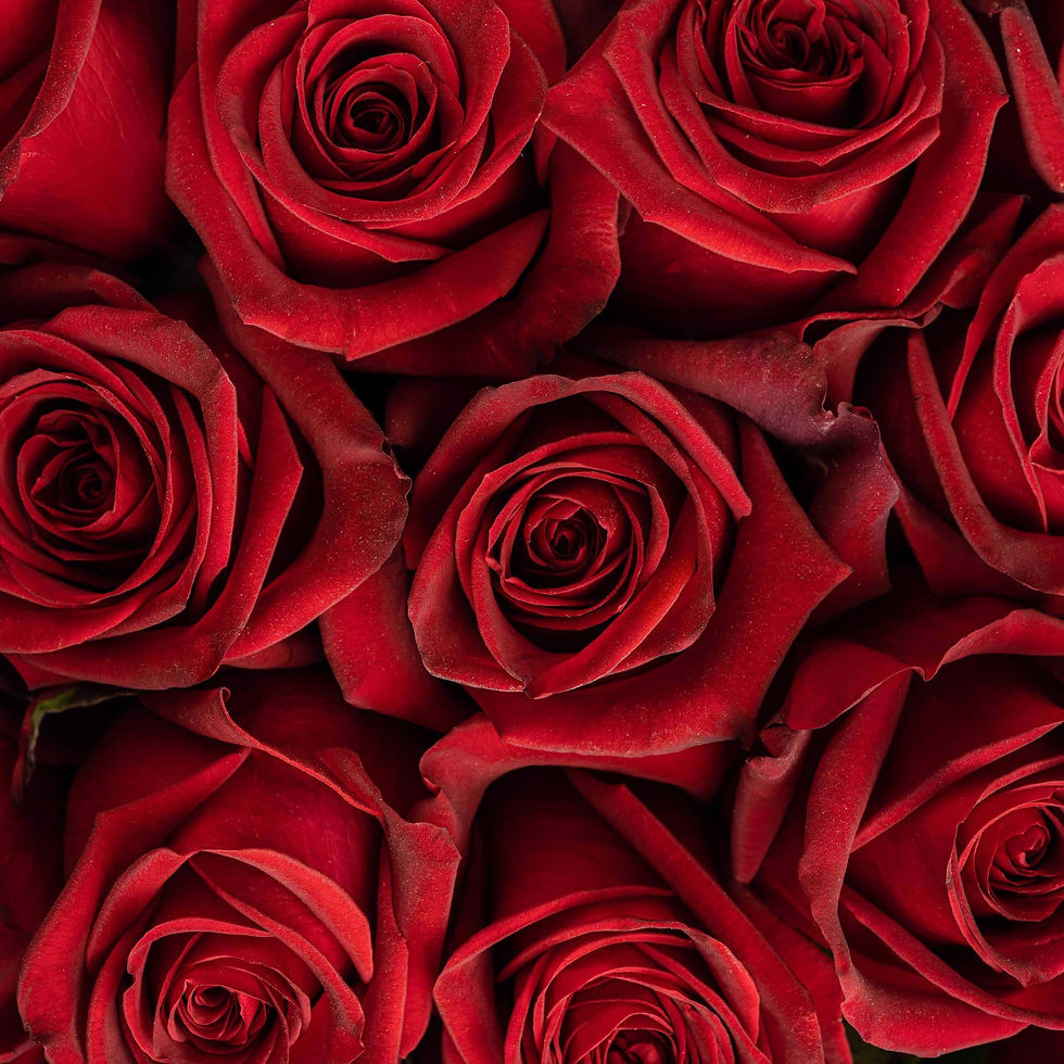 Thumbnail: ROSE
