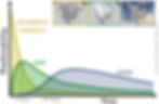 An illustration of potential sources of predictive skill (vertical axis), from the atmospheric state (yellow), the land-surface state (green), and the ocean state (blue) over various forecast lead times (horizontal axis).