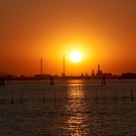 Immobilier neuf à Gujan-Mestras avec livraison immédiate