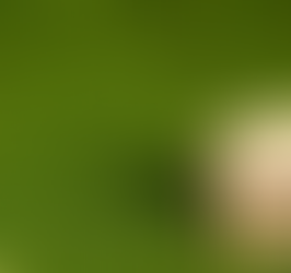 Immobilier Neuf Bordeaux 2026 : Toujours une valeur refuge pour les investisseurs?