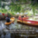 People in kayaks paddle through mangrove tunnel. Lush greenery surrounds the water. Text: "Kayak through the mangrove tunnel."