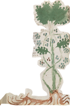 Voynich X recortado.png