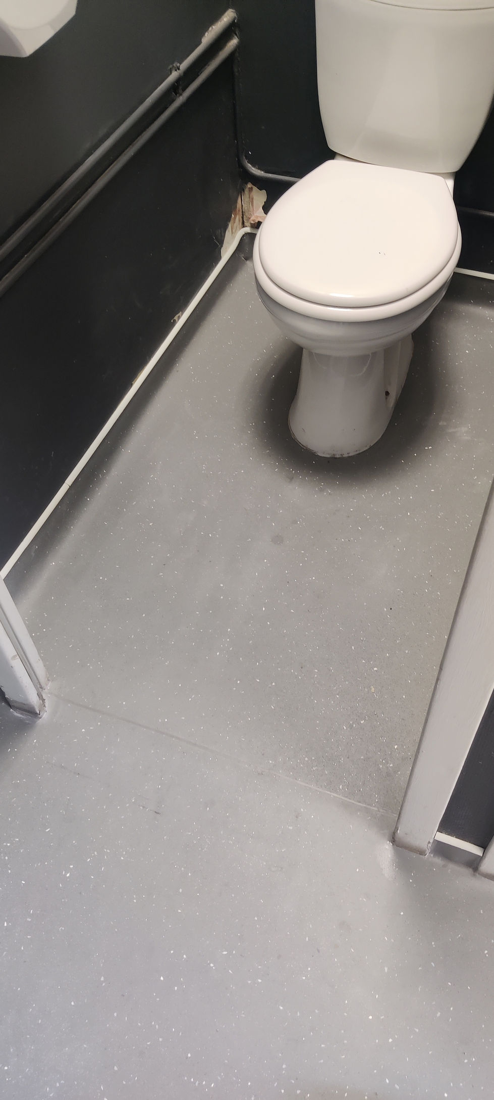 revêtement sanitaire 