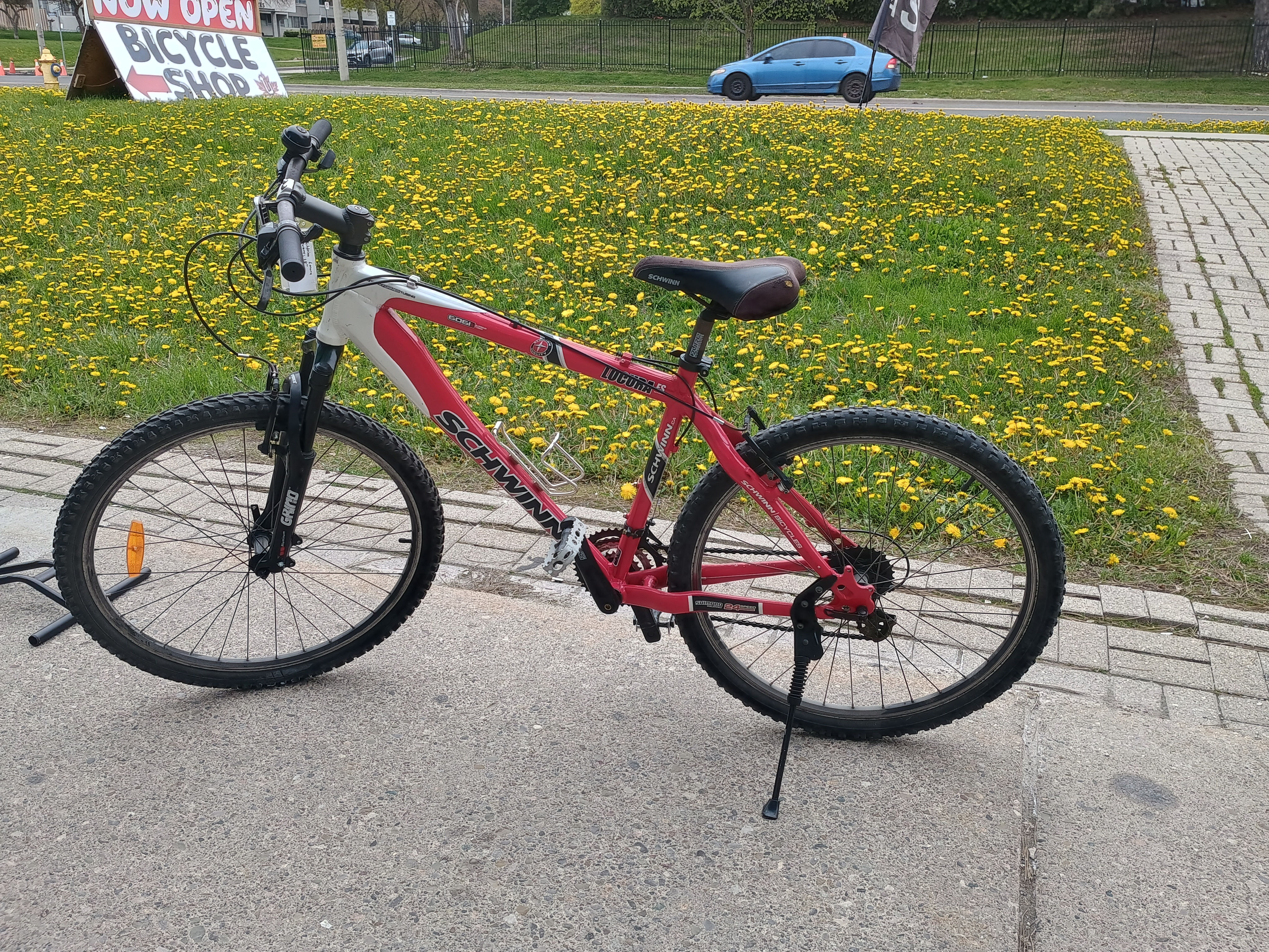 Schwinn luvora