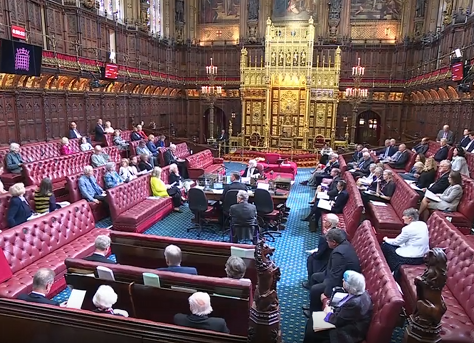 Lord Carter Condemns 'One-Size-Fits-All' Approach in Schools Bill