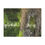 Thumbnail: Forest Reflection Microfiber Blanket