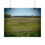 Thumbnail: Purple Spring Meadows Poster