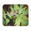 Thumbnail: Swirly Snail Mouse Pad 